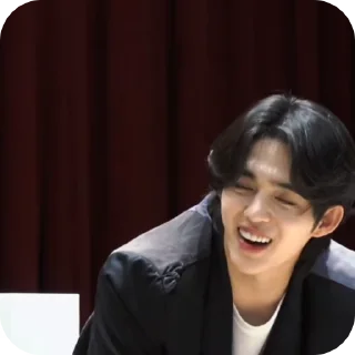 🌟 emoji Cheol @chu_giff Telegram sticker 14 of 27