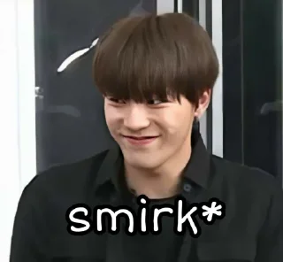 😏 emoji SEVENTEEN Telegram sticker 6 of 120