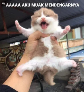 🤢 emoji BUAT U YANG BIKIN EMOSI Telegram sticker 17 of 45