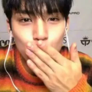 😎 emoji mingyu :: @stickernct Telegram sticker 9 of 60