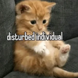 😢 emoji kat Telegram sticker 12 of 17