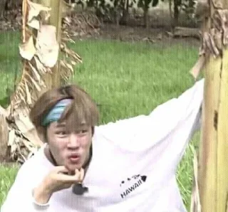 🐯 emoji meme kth — @kingsigh Telegram sticker 14 of 39