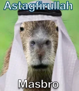 ☪️ emoji Masbro Telegram sticker 5 of 39