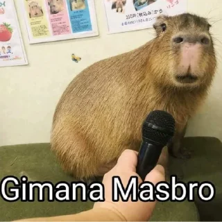 🤔 emoji masbro Telegram sticker 17 of 38