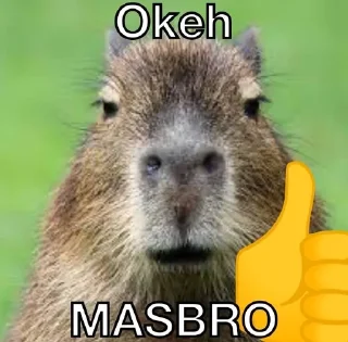 👍 emoji Masbro Telegram sticker 9 of 39