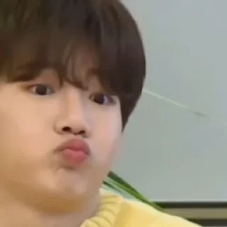 🐨 emoji Junkyu by Yohan @Gideonxx Telegram sticker 12 of 49