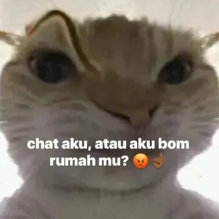 😩 emoji punya sera @sseranna Telegram sticker 18 of 24