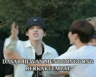 Sticker from Seventeen meme @JOYVIBE