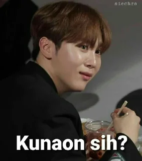 🤪 emoji Seventeen meme @JOYVIBE Telegram sticker 17 of 40