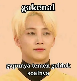🤪 emoji Seventeen meme @JOYVIBE Telegram sticker 23 of 40