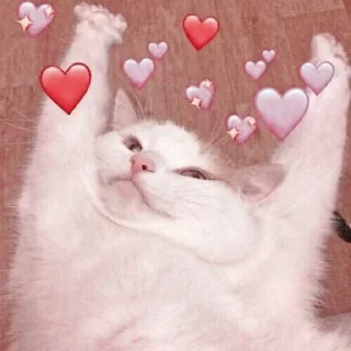 🐱 emoji ⋆ 𝓜eong @namaplanet Telegram sticker 22 of 44