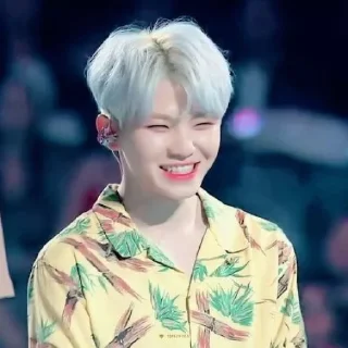 🍚 emoji woozi ⋆ @cipagorum Telegram sticker 20 of 34