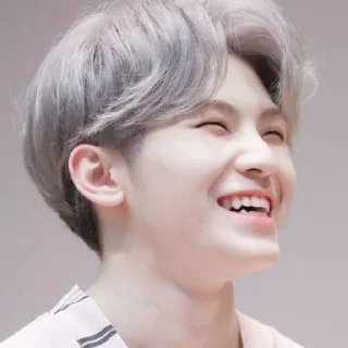 🍚 emoji woozi ⋆ @cipagorum Telegram sticker 5 of 34
