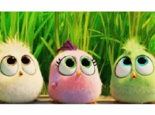 ❤️‍🩹 emoji Angry birds@Bad_Boys_Stickers Telegram sticker 13 of 33