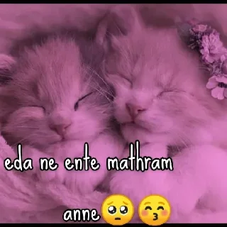 🥺 emoji @Archana_38 Vol 38🦋 Telegram sticker 17 of 74