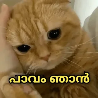 🥺 emoji @Archana_38 Vol.4 Telegram sticker 10 of 120