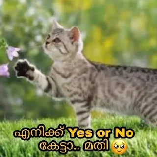 😒 emoji @Archana_38 Vol 38🦋 Telegram sticker 9 of 74