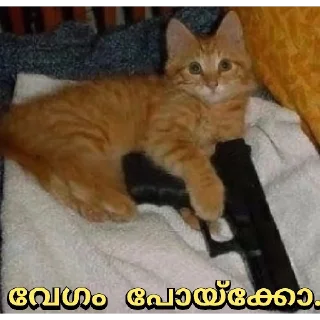 😒 emoji @Angel_Sweetie_Pie1 Telegram sticker 22 of 30