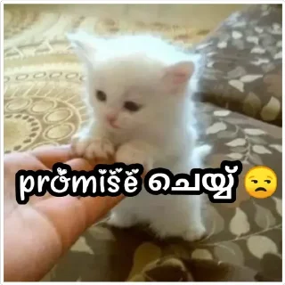 😂 emoji @Angel_Sweetie_Pie1 Vol.2 Telegram sticker 20 of 120