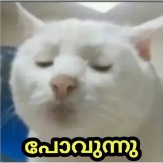 😒 emoji @Angel_Sweetie_Pie1 Telegram sticker 9 of 30