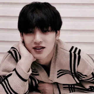 Sticker from varel as mingyu — @KIM1NGYU