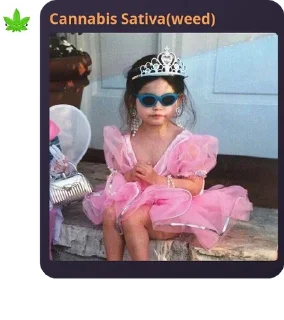 💅 emoji Weed ka pack 👁️👄👁️ Telegram sticker 17 of 120