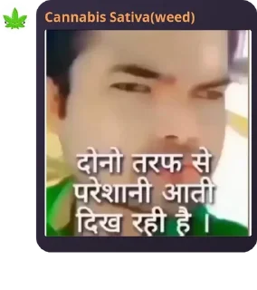 😔 emoji Weed ka pack 👁️👄👁️ Telegram sticker 22 of 120
