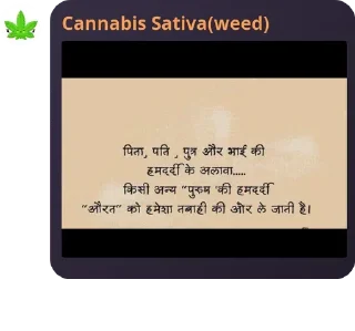 😢 emoji Weed ka pack 👁️👄👁️ Telegram sticker 15 of 120