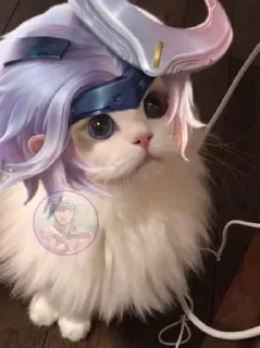 🎭 emoji Kucing AOV Telegram sticker 14 of 40