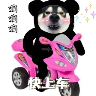 👀 emoji @AWSAZURE_FengCai 的私藏 (6) Telegram sticker 5 of 120
