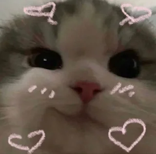 🥰 emoji @persekontoll cimocimoci Telegram sticker 13 of 34