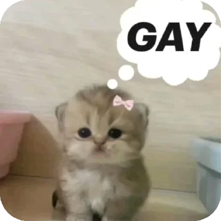 😀 emoji Kgsyt Telegram sticker 17 of 44