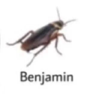 🐞 emoji awikwok Telegram sticker 12 of 25