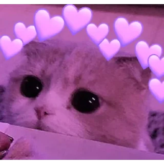 ❤️ emoji @Username_illaathavan Vol.8 Telegram sticker 21 of 120