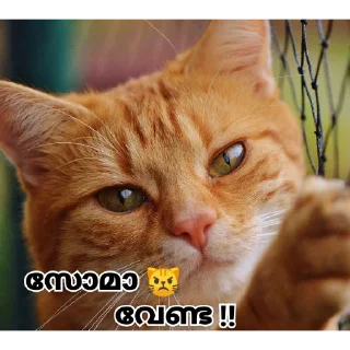 🥺 emoji @Username_illaathavan Vol.8 Telegram sticker 16 of 120