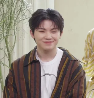 🍚 emoji woozi random #4 ─ @stikcerwoozi Telegram sticker 16 of 50