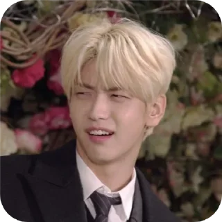 🤨 emoji epan Telegram sticker 5 of 65