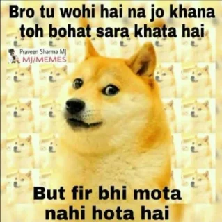 🙂 emoji Cheems the doge @Mishrajii_726 (@CalsiBot) Telegram sticker 10 of 56