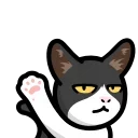 Sticker from LIHKG Cat HD @lihkg_official