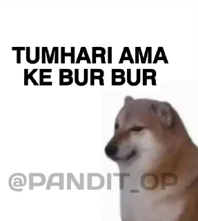 Sticker from SEXY BOI CHEEMS @PANDIT_OP