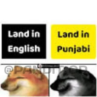 🔥 emoji SEXY BOI CHEEMS @PANDIT_OP Telegram sticker 16 of 18