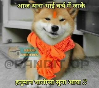 🙏 emoji SEXY BOI CHEEMS @PANDIT_OP Telegram sticker 15 of 18