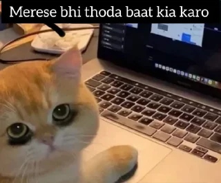 Sticker from Mr Cat • @im_Mrcatmew