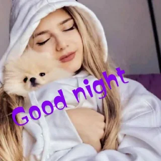 😴 emoji Bihari king queen Telegram sticker 12 of 41