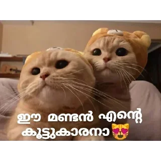 😁 emoji @Archana_38 Pack 38✨🥂 Telegram sticker 14 of 120