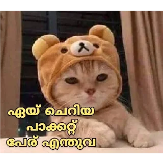 🤓 emoji @Archana_38 Pack 38✨🥂 Telegram sticker 23 of 120