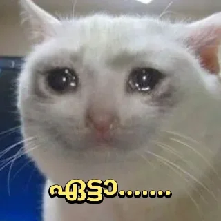 🥺 emoji @Archana_38 Pack 38✨🥂 Telegram sticker 7 of 120