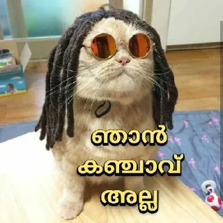 😂 emoji @Archana_38 Pack 38✨🥂 Telegram sticker 12 of 120