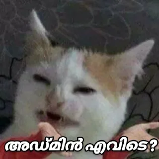 😒 emoji @Archana_38 Pack 38✨🥂 Telegram sticker 5 of 120