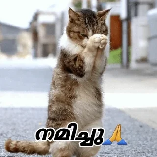 🙏 emoji Psycho sticker🤐🤐 Telegram sticker 13 of 108